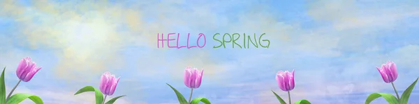 Beautiful tulips on the sunny cloudy sky. Spring background. Happy spring banner. Floral background.