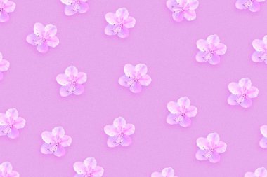 Güzel bahar çiçekleri ile açık pembe arka plan. Tebrik arka plan. Tatil kartı.