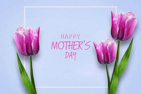 Glücklicher Muttertag. schöne Tulpen auf blauem Hintergrund. Grußkarte. Festbanner. — Stockfoto
