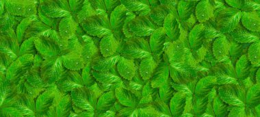 Yeşil arka plan bırakır. Doğal arka plan. Yakından kapatın. Arka plan.