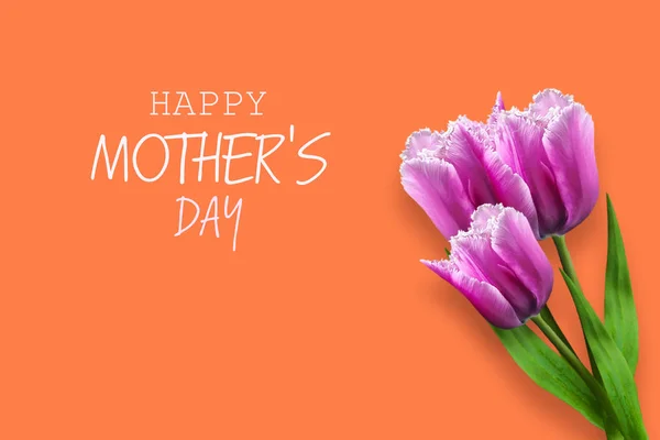 Glücklicher Muttertag. schöne Tulpen auf einem Korallenhintergrund. Grußkarte. Festbanner. — Stockfoto