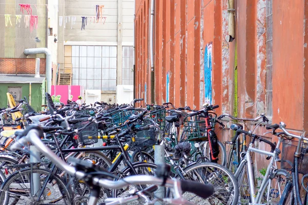 Many bicycles in the city parking lot. Transport.