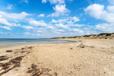 Kumlu plajlı güzel bir deniz manzarası ve güzel bulutlu bir gökyüzü. Danimarka. Kuzey Denizi. Doğa. Rahatlama