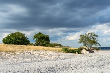 Ağaçlar ve gök gürültülü bulutlarla dolu güzel bir manzara. Doğa. Doğal arkaplan.