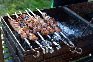 Izgarada barbekü. Piknik. Yakın plan. Huzur içinde yat. Açık havada et pişirmek. Yiyecek..