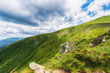 Güzel, alçak bulutlu dağ manzarası. Karpatlar. Ukrayna. Doğa Turizmi Arkaplanı