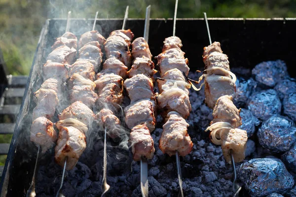 Barbecue Grill Een Picknick Een Close Rust Natuur Vlees Koken — Stockfoto