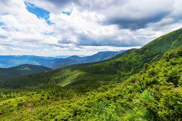 Güzel Alçak Bulutlu Dağ Manzarası Karpatlar Ukrayna Doğa Turizmi Arkaplanı — Stok fotoğraf