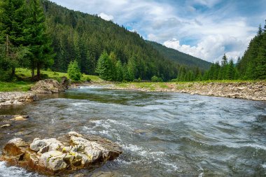 Güzel dağ nehri. Ukrayna. Karpatlar Doğa Seyahatleri