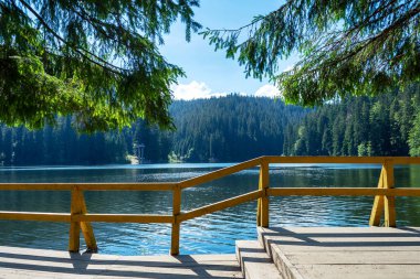 Güzel bir dağ gölünün gözlem güvertesi. Synevyr Gölü. Ukrayna. Karpatlar. Doğal doğa. Seyahat.