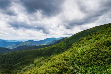 Düşük bulutlu güzel dağ manzarası. Ukrayna. Karpatlar. Eğlence Gezileri