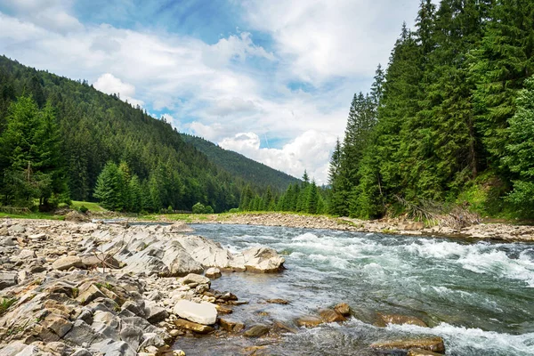 Güzel dağ nehri. Ukrayna. Karpatlar Doğa Seyahatleri