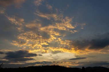 Güzel günbatımı, güzel bulutlar kozalaklı ormanın üzerinde.