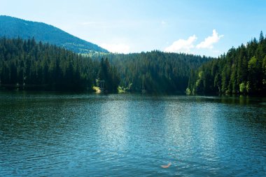Dağlardaki güzel dağ gölü. Synevyr. Ukrayna