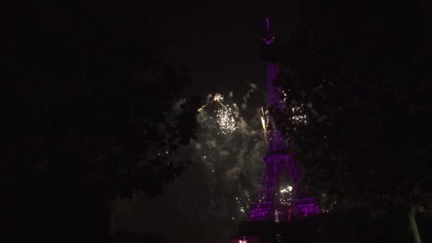 Feuerwerk und 3D-Kartenshow am Eiffelturm am Nationalfeiertag — Stockvideo