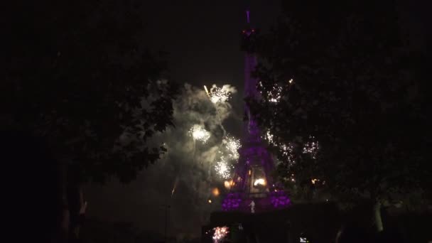 Pessoas tirando fotos de fogos de artifício e mapeamento 3D na Torre Eiffel — Vídeo de Stock