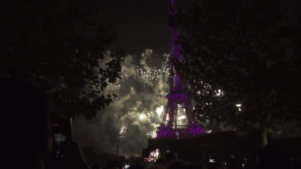 Menschenmenge sieht Feuerwerk in Himmel schießen Nationalfeiertag Bastille — Stockvideo