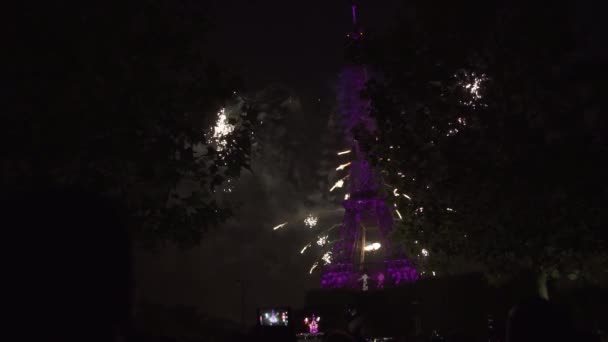 Multidão de pessoas assistindo fogos de artifício atirando no céu National Holiday Bastille — Vídeo de Stock