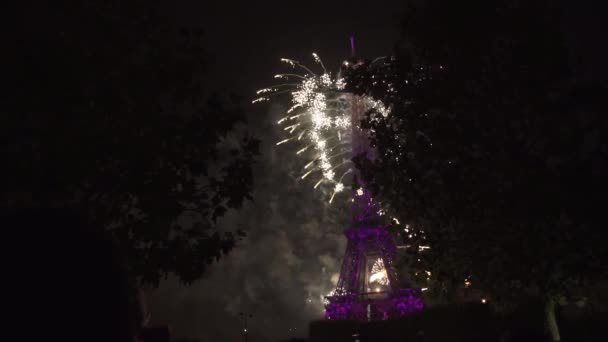 Bella lunga serie di esplosioni di fuochi d'artificio, diversi effetti flash nel cielo notturno — Video Stock