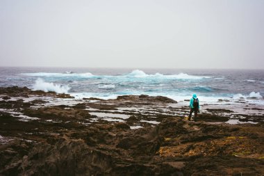 Fotoğraf ile bir köpek için sebep arıyor. Volkanik kayalık sahil şeridi isabet dalgalar. Sahra tozu gökyüzünde. Santo Antao Adası, Cape Verde