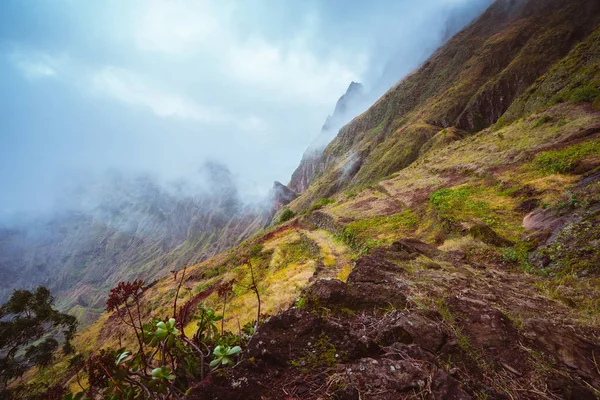 Прочная горная вершина, заросшая зеленой травой и окутанная туманом. Некоторые растения растут на переднем плане. Xo-Xo Valley, Santo Antao Island, Кабо-Верде — стоковое фото