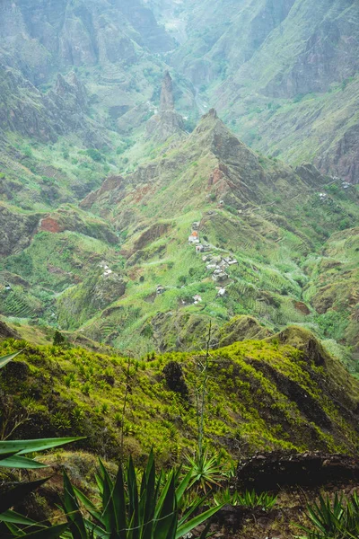 Горная вершина возвышается посередине в зеленой долине Зо Зо. Прочный горный хребет, заросший зеленой травой и растениями юкки, простирается по долине. Санто-Антао-Айленд — стоковое фото