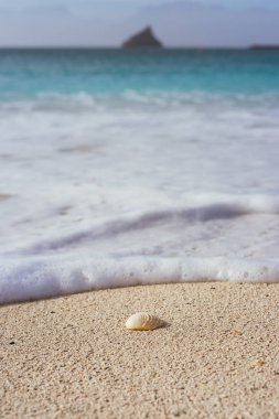 Okyanus dalgaları inişli çıkışlı beyaz köpük ile kum plajındaki deniz kabuğu. Masmavi mavi su ile tropikal plaj