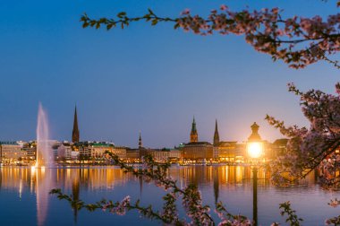 Fener kiraz çiçeği çiçek sakin ve güzel Alster Nehri üzerinde ve Hamburg Belediye Binası - Rathaus adlı bahar akşam alacakaranlık altın saat sonra tarih arasındaki yanmak.