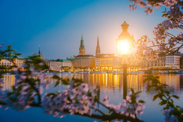 Fener kiraz çiçeği çiçek sakin ve güzel Alster Nehri üzerinde ve Hamburg Belediye Binası - Rathaus adlı bahar akşam alacakaranlık altın saat sonra tarih arasındaki yanmak.