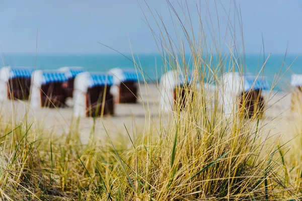 Græs på Travemuende strand. Slørede stole på sandstrand i baggrunden, Luebeck Bay, Tyskland - Stock-foto