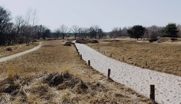 Boberger kum tepelerine manzara doğa rezerv Boberger Niederung Hamburg Almanya düşündüm yol yürümek
