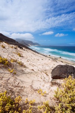 Kum tepeleri ıssız peyzaj ve Atlantik kıyı şeridi okyanus dalgaları ile çöl bitkileri çarpıcı. Calhau, Sao Vicente Island Cape Verde kuzeyinde Baia Das Gatas