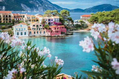 Turkuaz renkli bay Akdeniz bölgesinde ve Assos köyü Kefalonia, Yunanistan için güzel renkli evleri önünde beyaz ve Lila çiçek çiçek