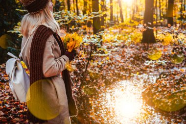 Kadın holding buket sarı sonbahar akçaağaç yan görünüm eldivenli ellerinde kalıyor. Orange ile kaplı zemin sıcak bir su birikintisi yansıyan arkadan aydınlatmalı güneş ışığı akşam tarafından dökülen yaprakları