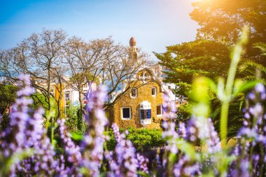 Fairytale evde Park Guell Antoni Gaudi tarafından tasarlanmış. Yemyeşil mor çiçekler ön planda. Ünlü konum yaz hafta sonu günbatımı. Carmel Hill, Barselona, İspanya, üzerinde bulunan