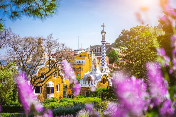Park Guell Fairytale evde parlak mor lavendel çiçekli çerçeve içinde. Ünlü konum yaz hafta sonu günbatımı. Carmel Hill, Barselona, İspanya, üzerinde bulunan