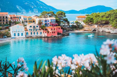 Turkuaz renkli bay Akdeniz bölgesinde ve Assos köyü Kefalonia, Yunanistan için güzel renkli evleri önünde parlak beyaz çiçek çiçek