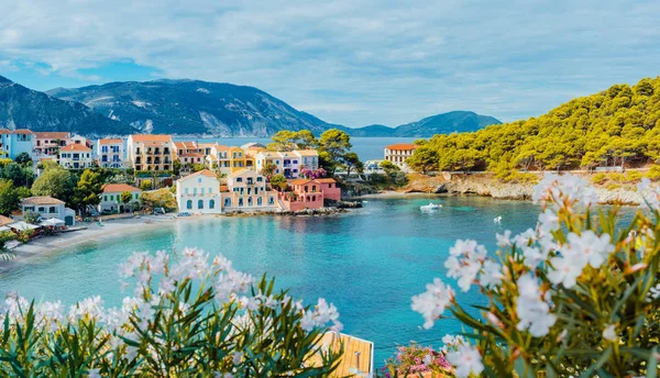 Panoráma Assos Village Kefalonia, Görögország. Fényes fehér virág virág, előtérben a türkiz színű nyugodt öböl a Földközi-tenger és a gyönyörű színes épületek a háttérben — Stock Fotó