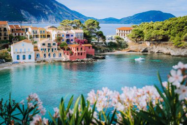 Turkuaz renkli bay Akdeniz bölgesinde ve Assos köyü Kefalonia, Yunanistan için güzel renkli evleri önünde parlak beyaz çiçek çiçek