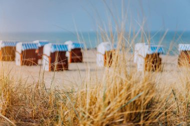 Dune grass and blue striped roofed chairs on sandy beach in background. Travemunde german favorite travel location clipart
