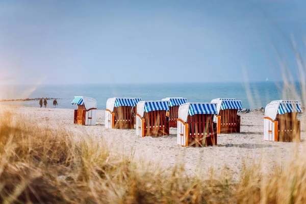 Blue striped roofed chairs on sandy beach on sunny day framed by dune grass in Travemunde. Germany — Stock Photo, Image