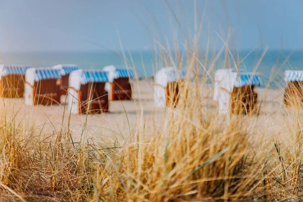 Dune gräs och blå randig takförsedd stolar på sandstrand i bakgrunden. Travemunde tyska favorit resor plats — Stockfoto