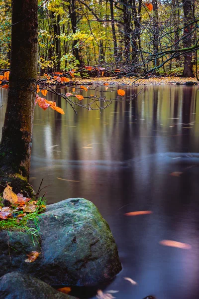 Gizemli atmosferi sakin sonbahar orman Gölü. Sakin göl yüzeyi, uzun pozlama — Stok fotoğraf