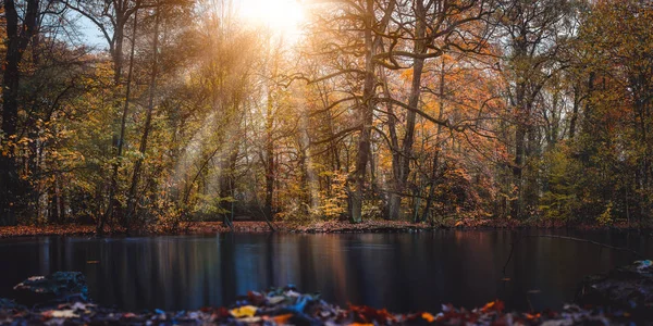 Autumn sun rays sunbeam appear trought the beautiful tree branches and leaves in a city park with a pond in the front of the picture — Stock Photo, Image