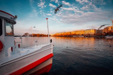 Alster Gölü geleneksel vapur teknede ön planda. Altın Sonbahar günbatımı ışık. Su üzerinde tur atan martılar. Hamburg, Almanya