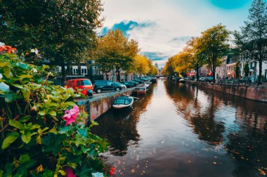 Akşam alacakaranlık sonbaharın güzel Amsterdam kanalları üzerinden. çiçekler ön planda