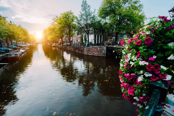 Herfst zonsondergang op de straten en de grachten van Amsterdam. Befutiful bloemen aan de voorkant — Stockfoto