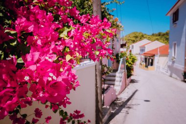Çiçekler, dar cadde pitoresk bir ada olarak. Güneşli yaz gün, yaz saati, Avrupa'da tatil