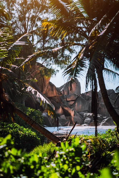 Rocas de granito y exuberante vegetación exótica en una playa tropical en La Digue, Seychelles. Primer plano borroso — Foto de Stock