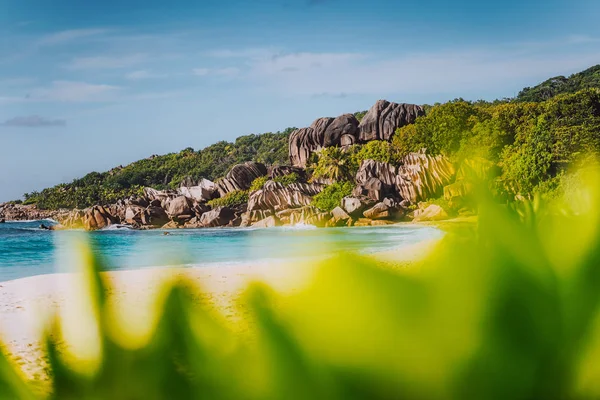 Grand Anse trópusi strand La Digue, Seychelle-szigetek híres gránit sziklaalakzatok. A természetes zöld elhomályosítja — Stock Fotó